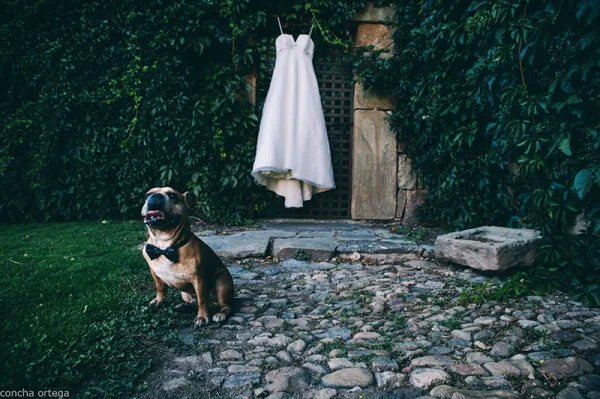 Concha Ortega Fotografía